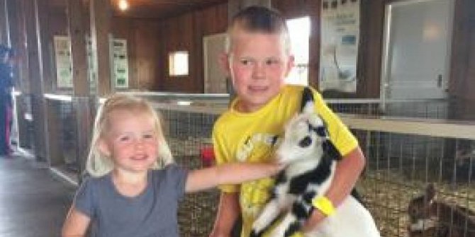 Pegang hewan di kebun binatang, bocah tiga tahun meninggal 