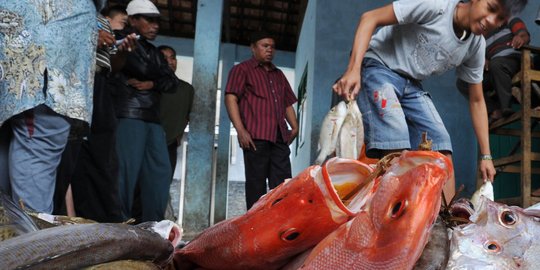 Dari 2,7 juta nelayan RI, hanya 1 juta dijamin asuransi