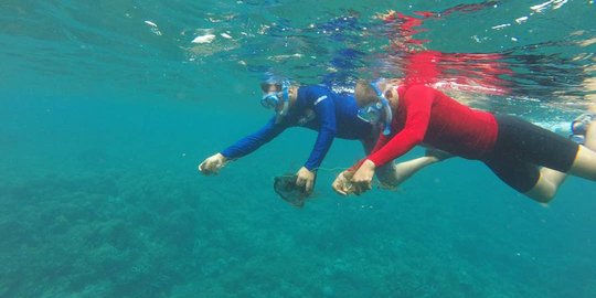 Puluhan ribu ekor spat kerang mutiara dilepas di Perairan Lombok