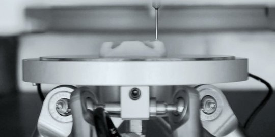 yang dicetak 3d printer