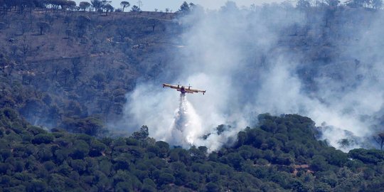 Kebakaran hutan di tenggara Prancis bikin turis panik