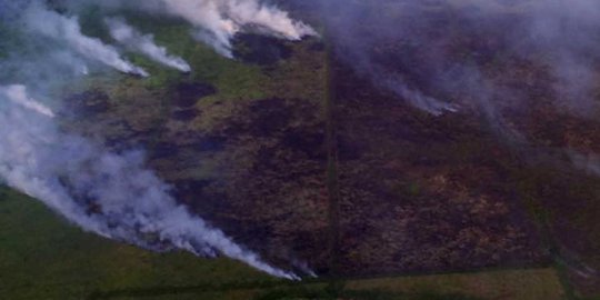 Pembakar lahan hingga 1 hektare di Bongko ditangkap polisi