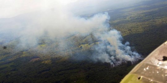 Tepergok bakar lahan, petani di Sumsel ditangkap polisi