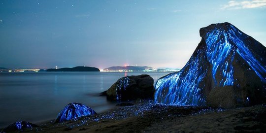 5 Pantai bercahaya paling indah di berbagai belahan dunia