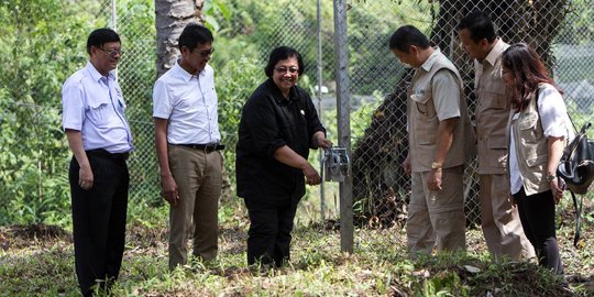 Menteri Siti resmikan pusat rehabilitasi Harimau Sumatera