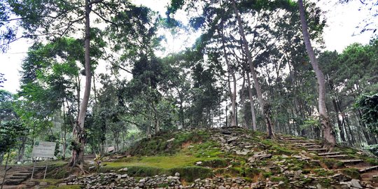 Jokowi minta bawahan contek Swedia dan Finlandia dalam kelola hutan