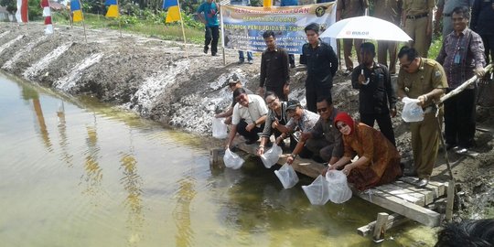 KKP dukung Sulbar kembangkan ekonomi berbasis perikanan