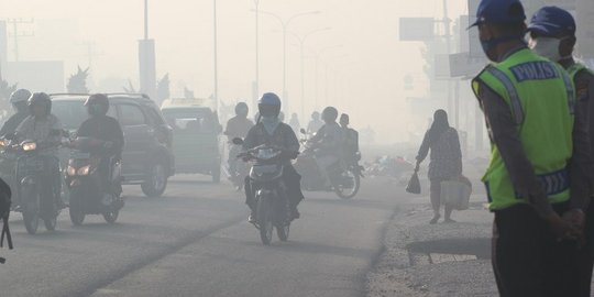 Hingga Juli 2017, kebakaran hutan RI capai 20.000 hektar