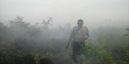 Wiranto minta masyarakat hentikan tradisi bakar hutan untuk bertani