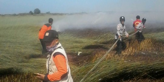 Berdalih usir nyamuk, karyawan pabrik kelapa sawit bakar lahan