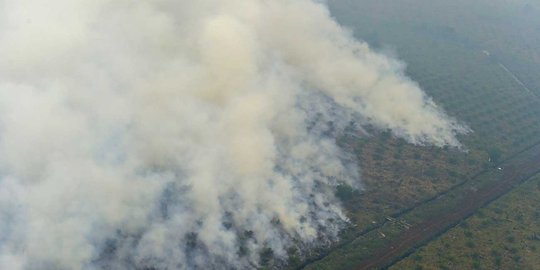 BMKG deteksi 6 titik api di Riau dan 12 titik panas