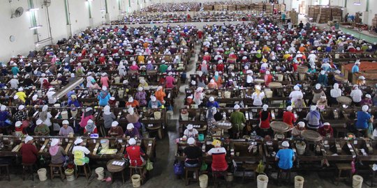 Triwulan II 2017, optimisme pelaku bisnis jauh membaik
