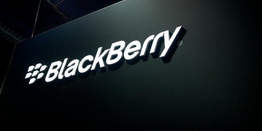 Bos Blackberry silaturahmi ke Menkominfo tawari software