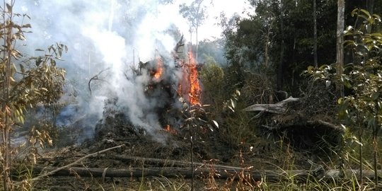Bakar lahan di kebun sendiri, petani di Inhu ditangkap polisi