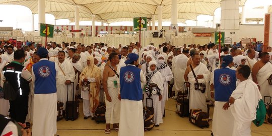 Jemaah haji Indonesia diimbau tidak berfoto dengan unta