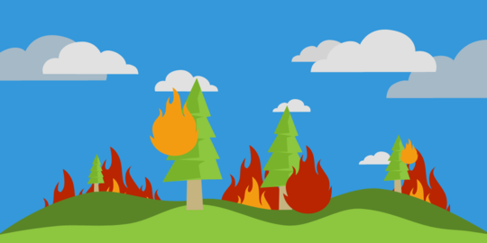 Hingga Agustus 2017, 545 hektar lahan di Ogan Ilir terbakar