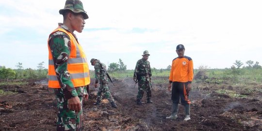 Korporasi dinilai lebih proaktif atasi kebakaran lahan gambut