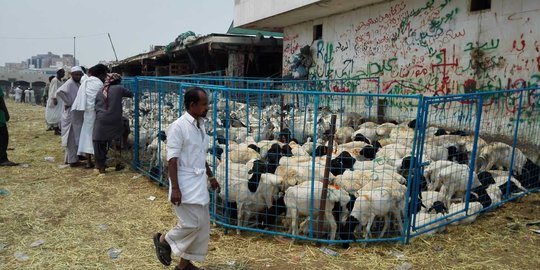 Aturan baru Arab Saudi, pembayaran dam harus lewat lembaga resmi