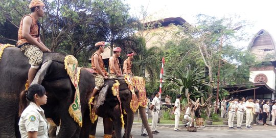 Gajah, ular dan burung di Bali Safari Marine Park ikut upacara kemerdekaan