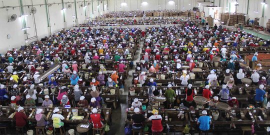 Menaker bikin program retraining bagi PHK di atas usia 40 tahun