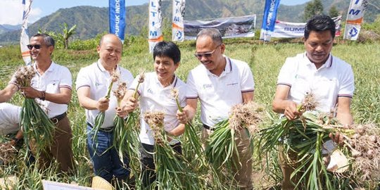 Pupuk Indonesia Pakai teknologi Demplot, panen bawang putih melimpah di NTB