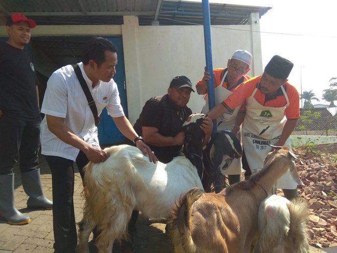 pengurus masjid di malang dilatih sembelih hewan