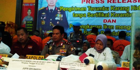 1,6 Juta ekor benih lobster hendak diselundupkan ke luar negeri