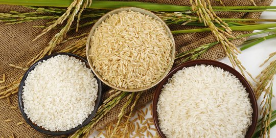 Mendag ancam cabut izin usaha pedagang jual beras melebihi harga patokan