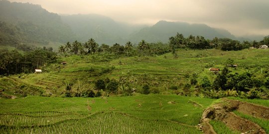 Terancam proyek Geotermal