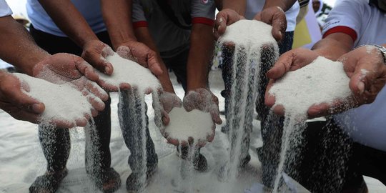 Unjuk rasa di Medan Merdeka Barat, petani tebu tebar gula di jalanan