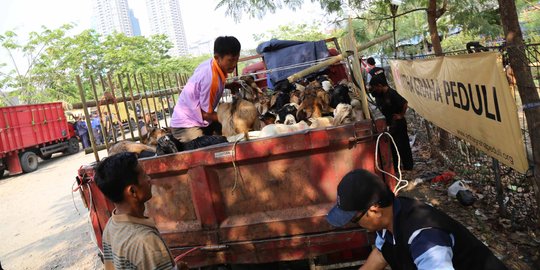 Jelang Idul Adha, marak pengiriman sapi dari Bali lewat 