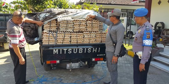 Polisi amankan 4.000 kilogram telur tanpa dokumen di Pelabuhan Gilimanuk