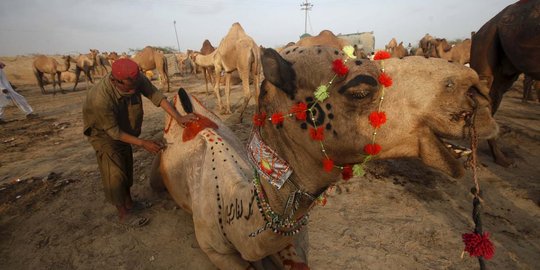 Megawati dan Duta Besar Inggris sumbang sapi di Masjid Sunda Kelapa