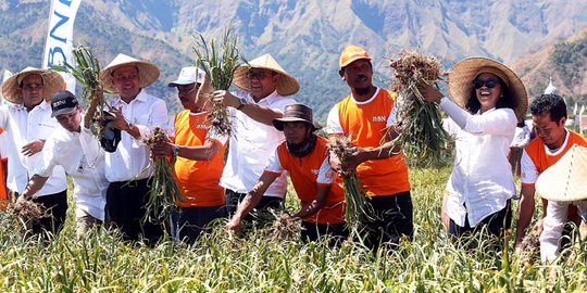 Disaksikan Menteri Rini, BNI guyur petani bawang di Sembalun dengan KUR