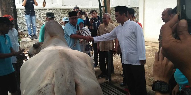 Kurban 2 sapi, Menteri Amran pastikan hewan sehat dan 