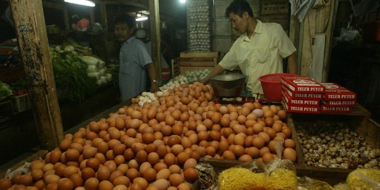 Deflasi Agustus bukti pemerintah Jokowi berhasil jaga stabilitas harga pangan
