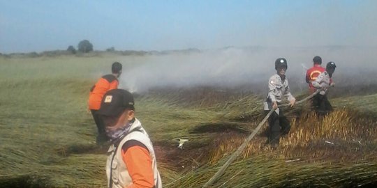 BRG sebut pemetaan dalam restorasi lahan gambut sangat diperlukan