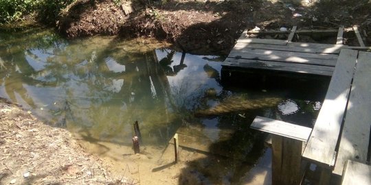 Hendak mandi di sungai, Salabiah terluka parah disambar buaya
