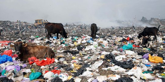 5 Fakta di balik masalah sampah RI, hingga ikut ciptakan pulau raksasa di dunia