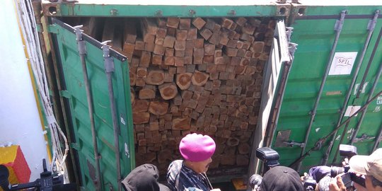 Bawa kayu  ilegal sopir truk  ditangkap di Jalan Trans 