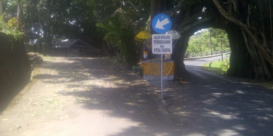 Keangkeran pohon bunut bolong di Jembrana, rombongan pengantin dilarang lewat