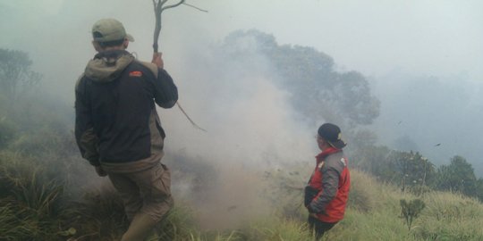 Sulit dipadamkan, kebakaran hutan di Gunung Bromo capai 50 Hektare