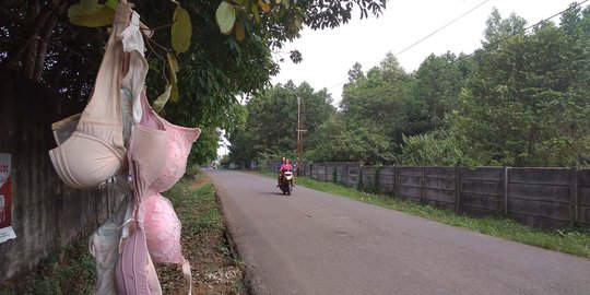 Pakaian dalam wanita tergantung di jalan dekat rumah penghina Iriana Jokowi
