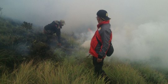 Kebakaran hutan di Gunung Bromo diduga akibat puntung rokok wisatawan