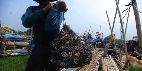 Potret nelayan rajungan di Muara Angke