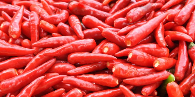 7 Langkah Mudah Cara Menanam Cabe Sendiri Di Rumah Agar Tidak