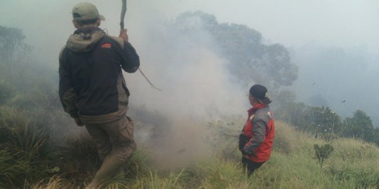 76 Hektare hutan di Gunung Bromo hangus terbakar
