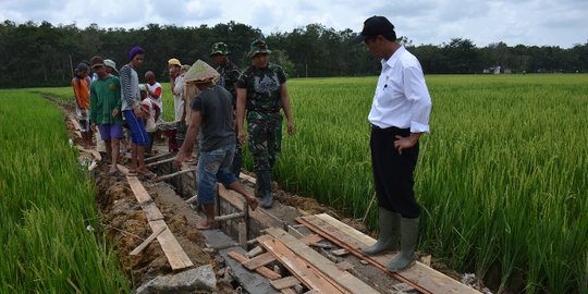 Kementan: Indonesia sudah berada di jalur tepat jadi lumbung pangan dunia di 2045