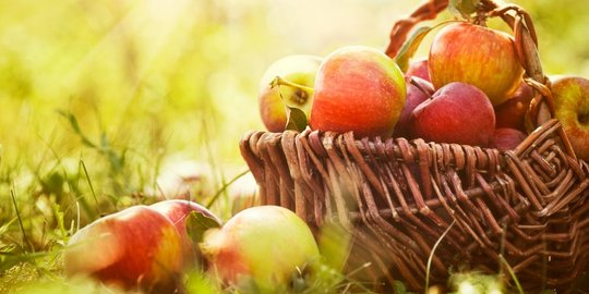 kebanyakan konsumsi 7 makanan dan minuman ini dapat berujung kematian