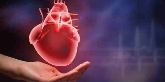 selain bikin bokek, berjudi juga bisa datangkan 6 penyakit ini